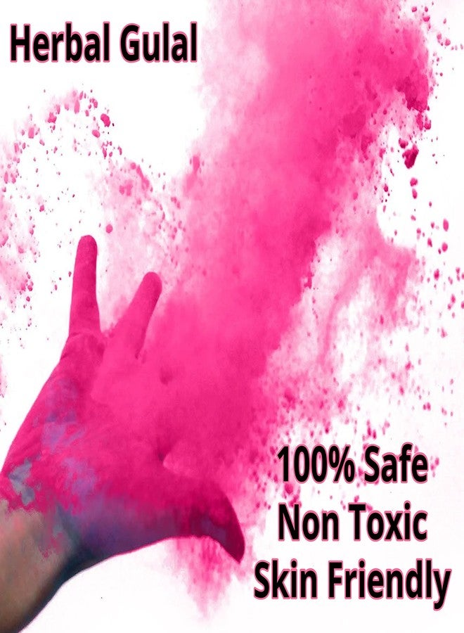 Artonezt مسحوق ألوان هولي غولال الطبيعي والعشبي 100% من أرتونيزت (عبوة من 5 قطع) + بالونات مائية هولي (50 قطعة) + مكعبات ثلج سحرية لاحتفالات هولي - Image 2